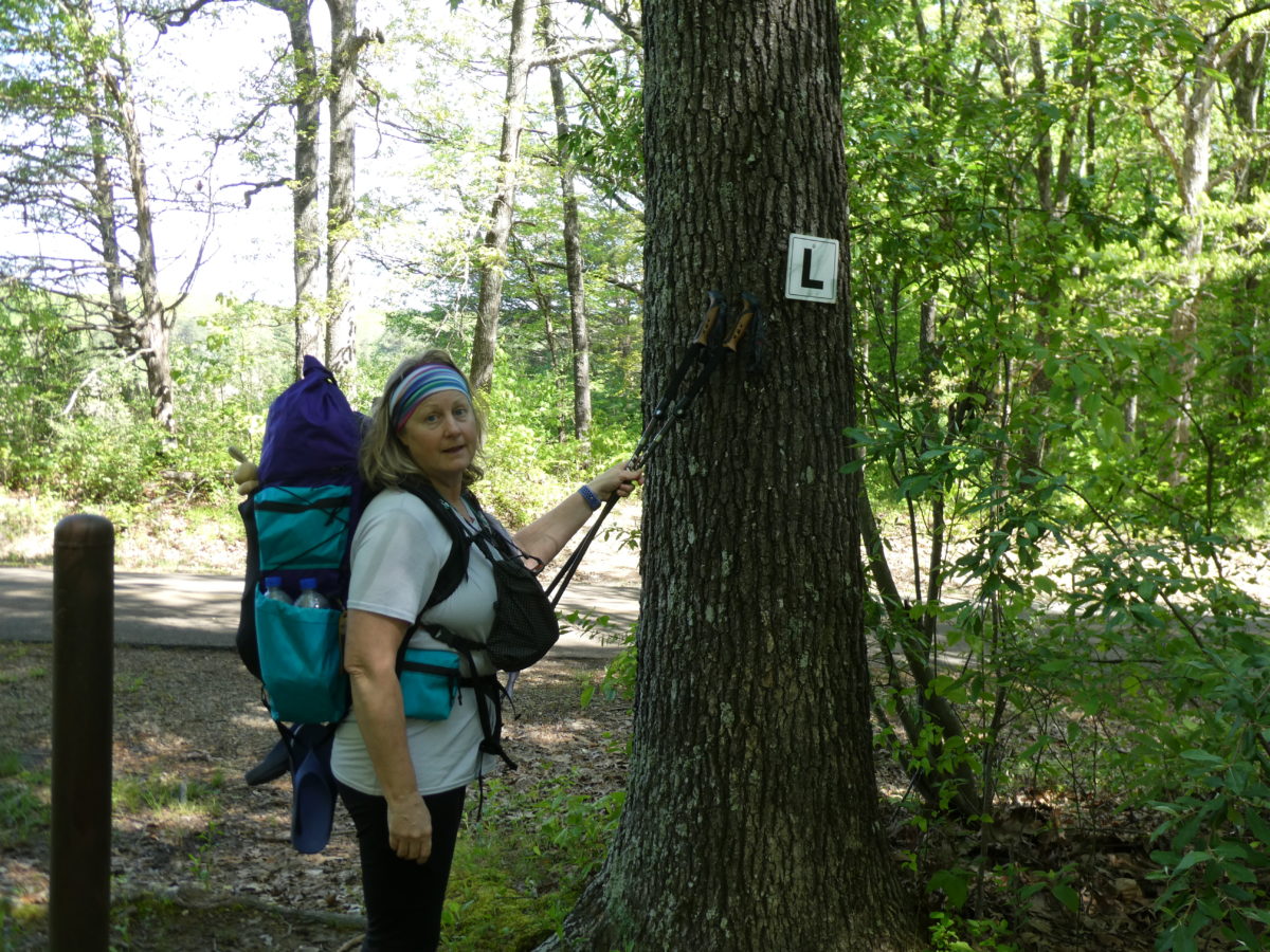 Day 2, Trail Junction to Laurel Mountain Spring—11.6 miles