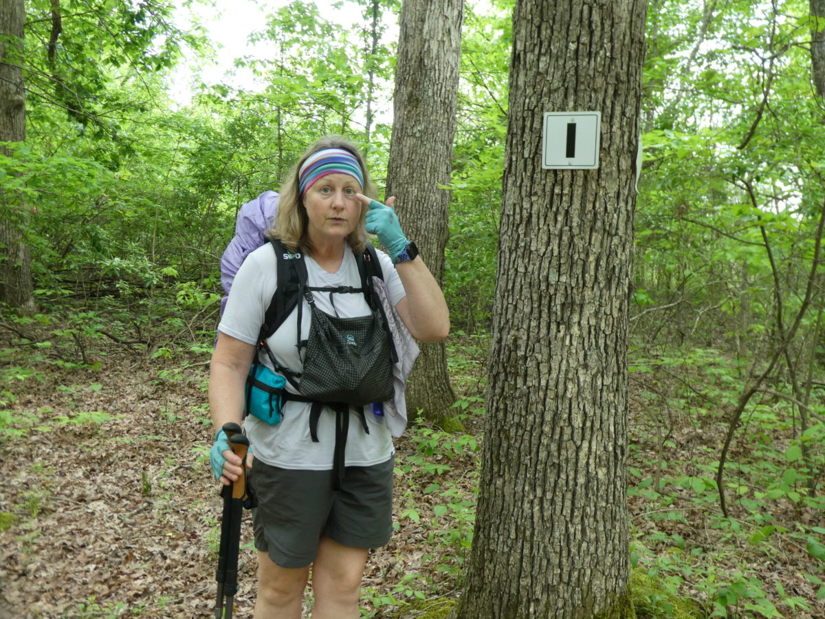 Day 3, Brush Arbor Camp—9.6 miles