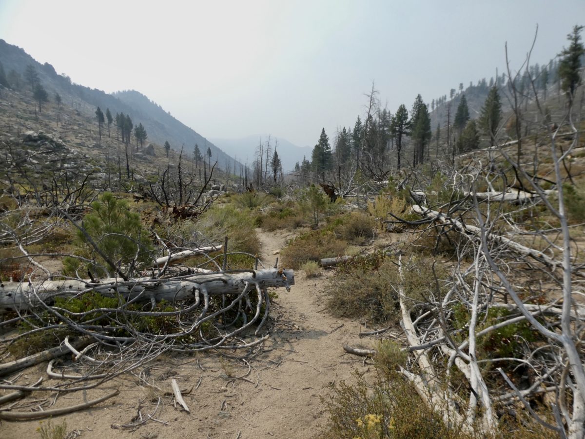 Day 49, August 19, Kennedy Meadows South, TM 1951.4–(14.1 miles)