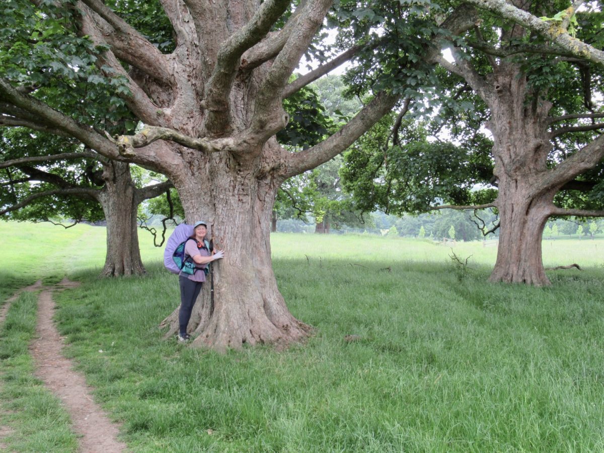 Day 2, June 3, Hayles Campsite and Fruit Farm, TM 15.7–(12.8 miles)