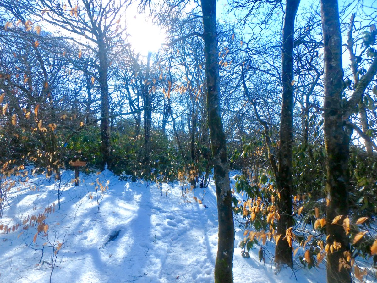 Day 42, Sunday, March 25. Devil Fork Gap; Nature’s Inn—9.4 miles