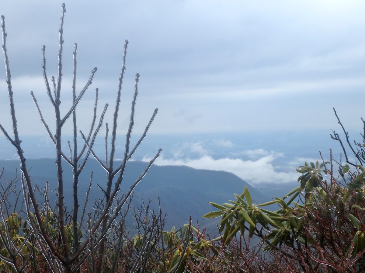 Day 41, Saturday, March 24. Jerry Cabin Shelter—7.3 miles