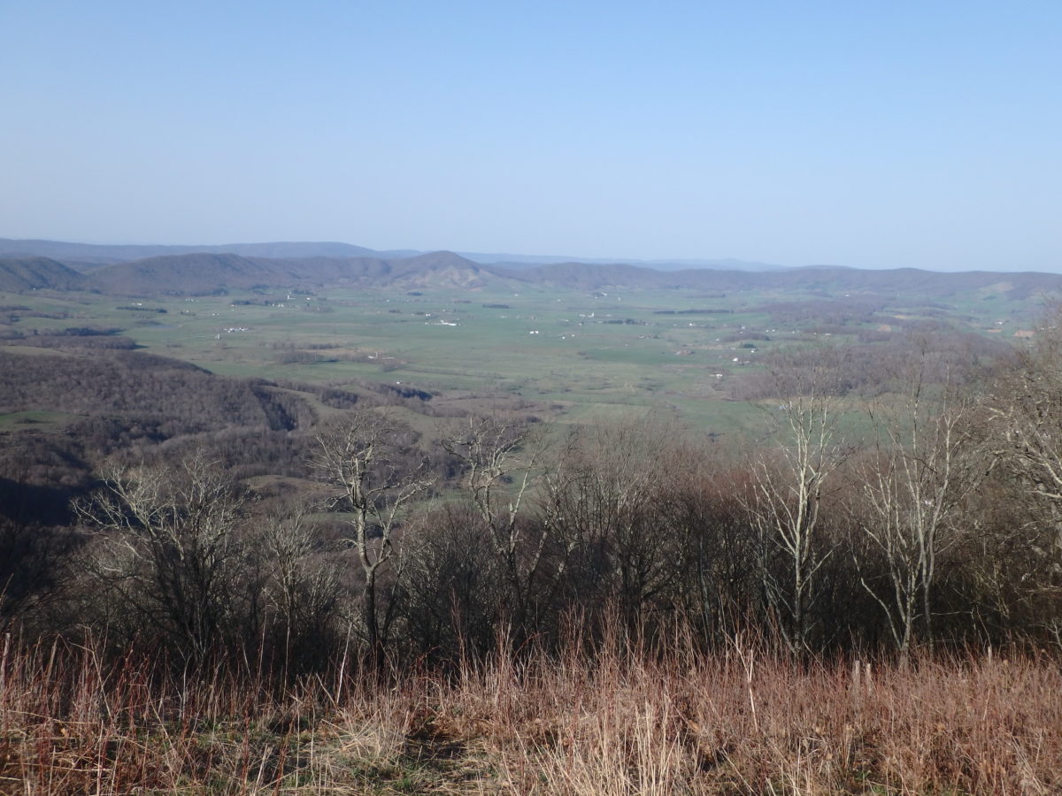 Day 66, Wednesday, April 18. Chestnut Knob Shelter—11.5 miles