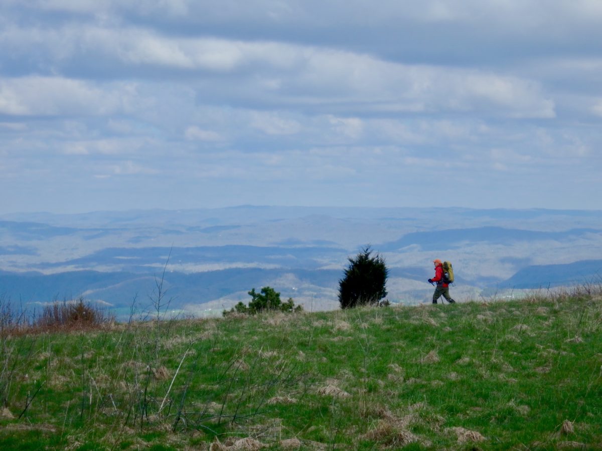 Day 77, Sunday, April 29. Pine Swamp Branch Shelter—12.6 miles