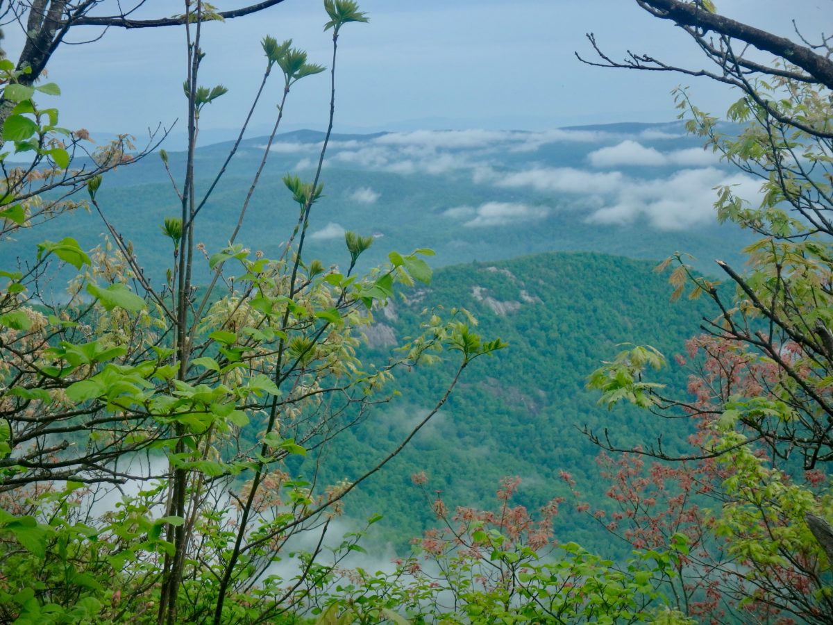 Day 94, Wednesday, May 16. Devil’s Backbone Brewery—16.5 miles