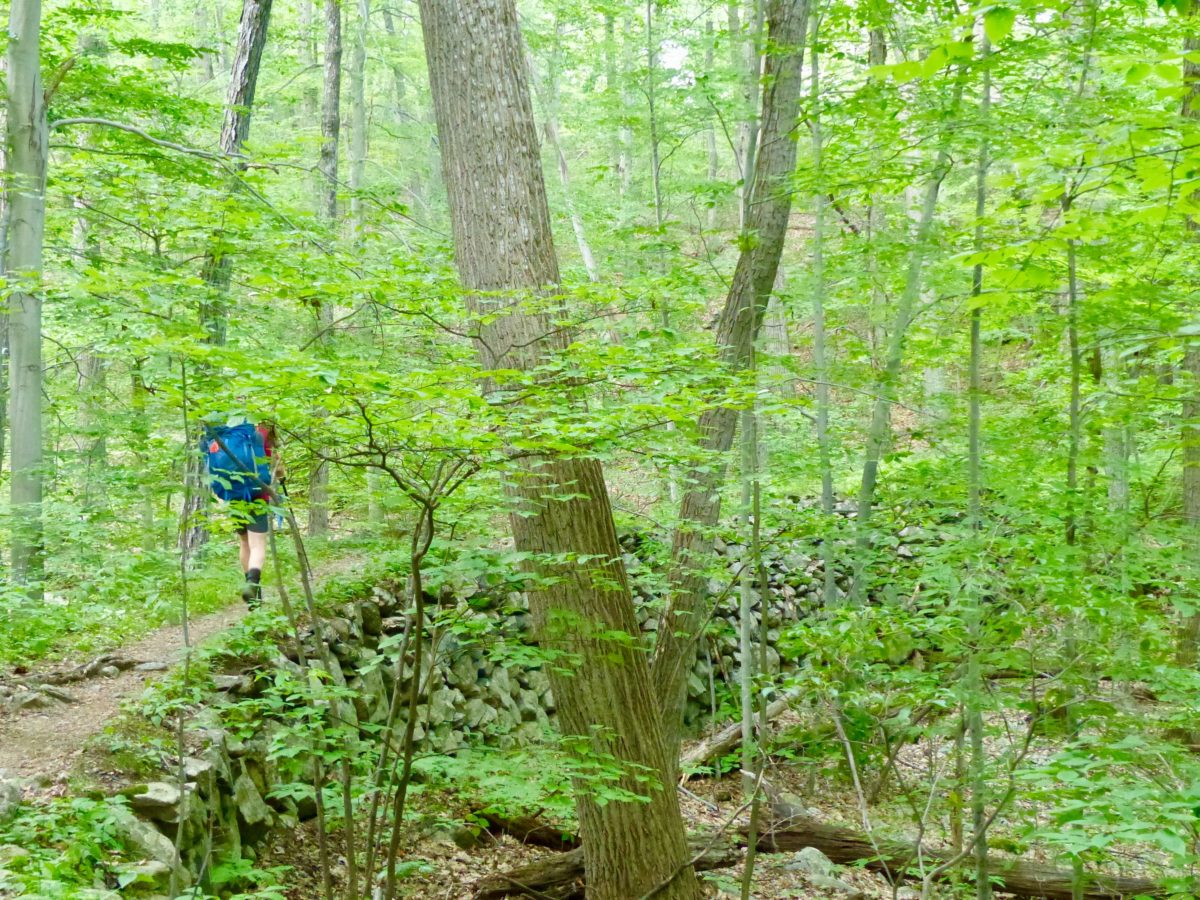 Day 153, Saturday, July 14. Canopus Lake—13.8 miles