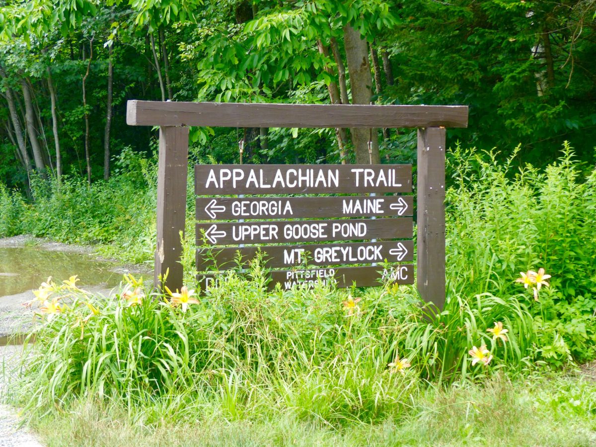 Day 167, Saturday, July 28. The Cookie Lady—11 miles