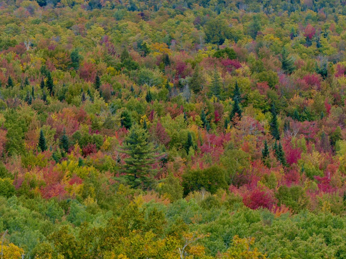 Day 231, Sunday, September 30. Shaw’s, Monson, ME—9 miles