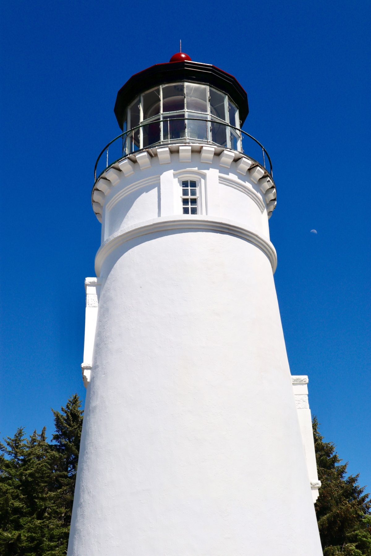 Day 8, Sunday, June 9. Umpqua Lighthouse State Park—(6.2/21.6 Miles ...